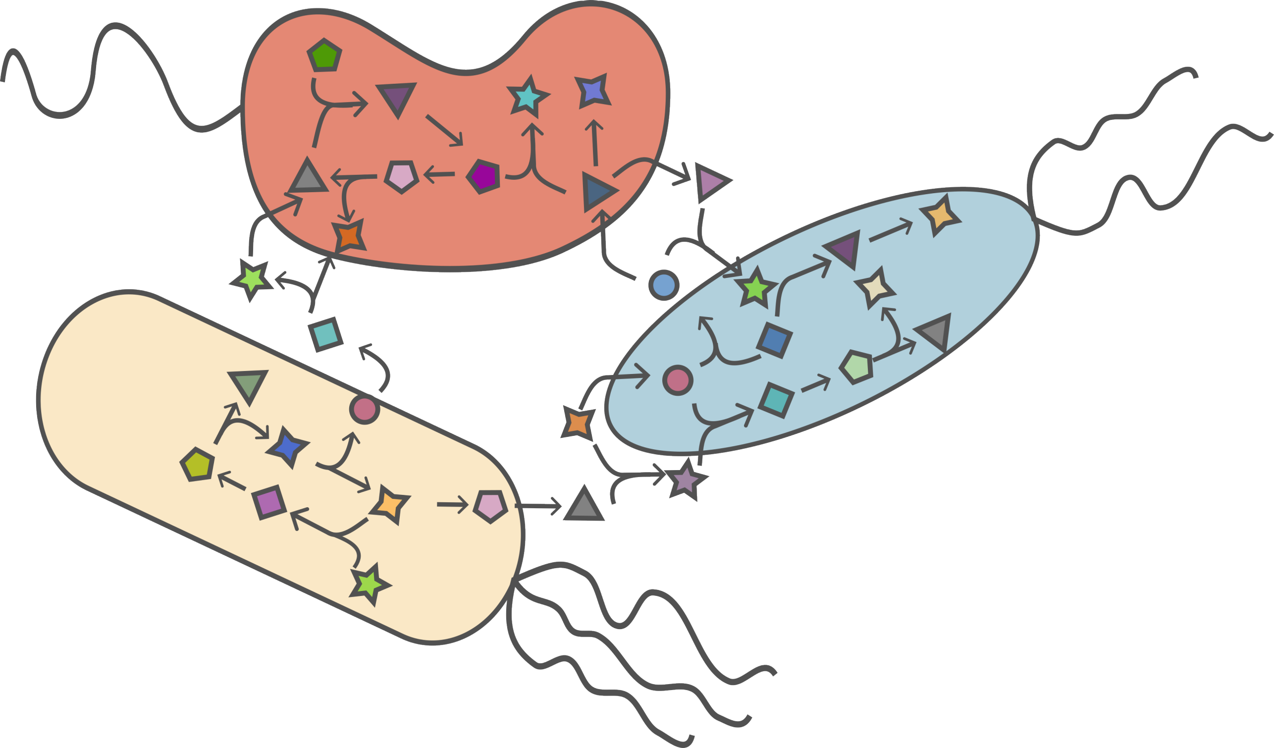 Microbes exchanging metabolites