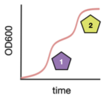 Nutrient utilisation strategy