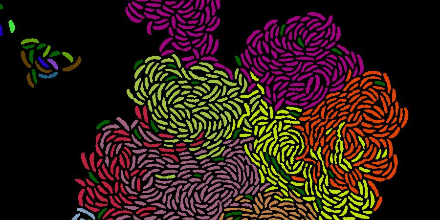 Cells colored according to their lineage, degrading a polymer as a group